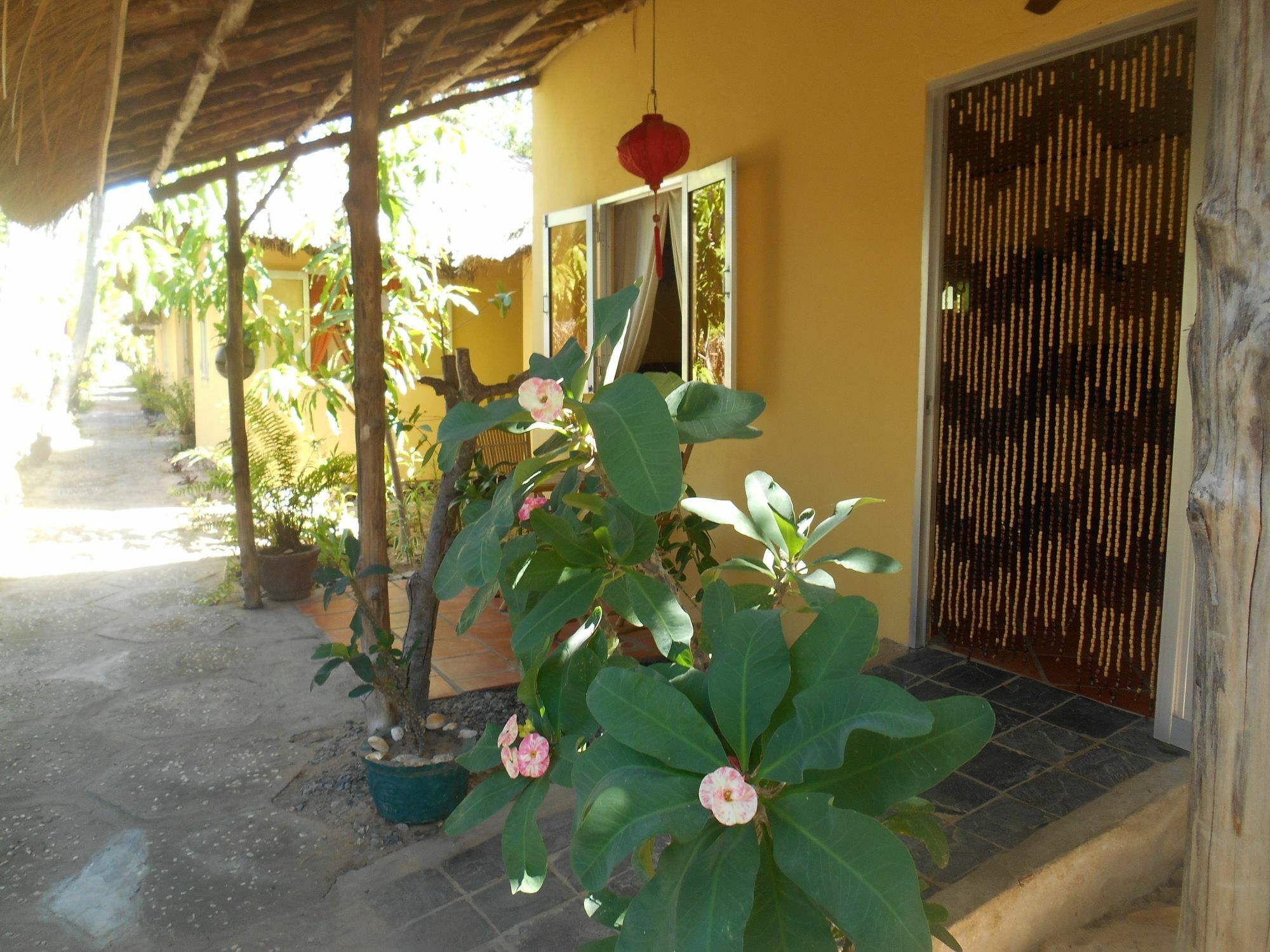 Thuy - Gunter Garden Bungalow Mui Ne Exterior foto